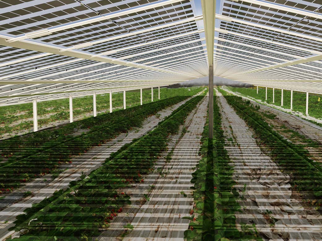 Abu Dhabi Introduces Solar Self-Supply Policy, Opening the Door to On-Site Solar Power